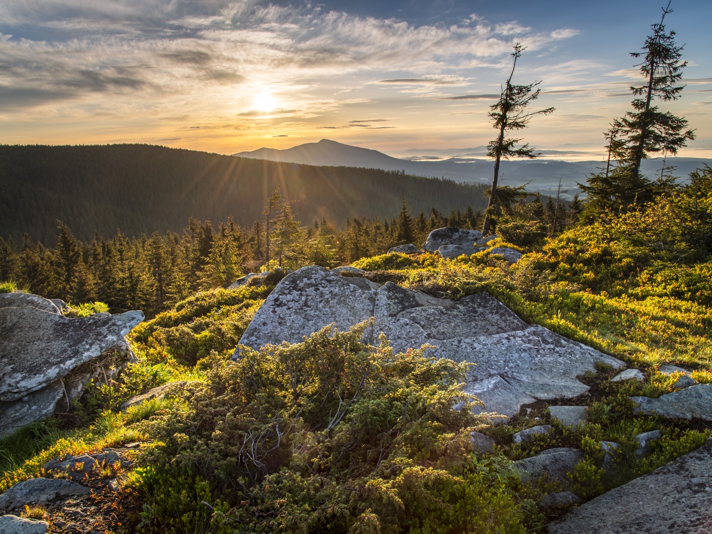 Fot. Krzysztof Haase 1